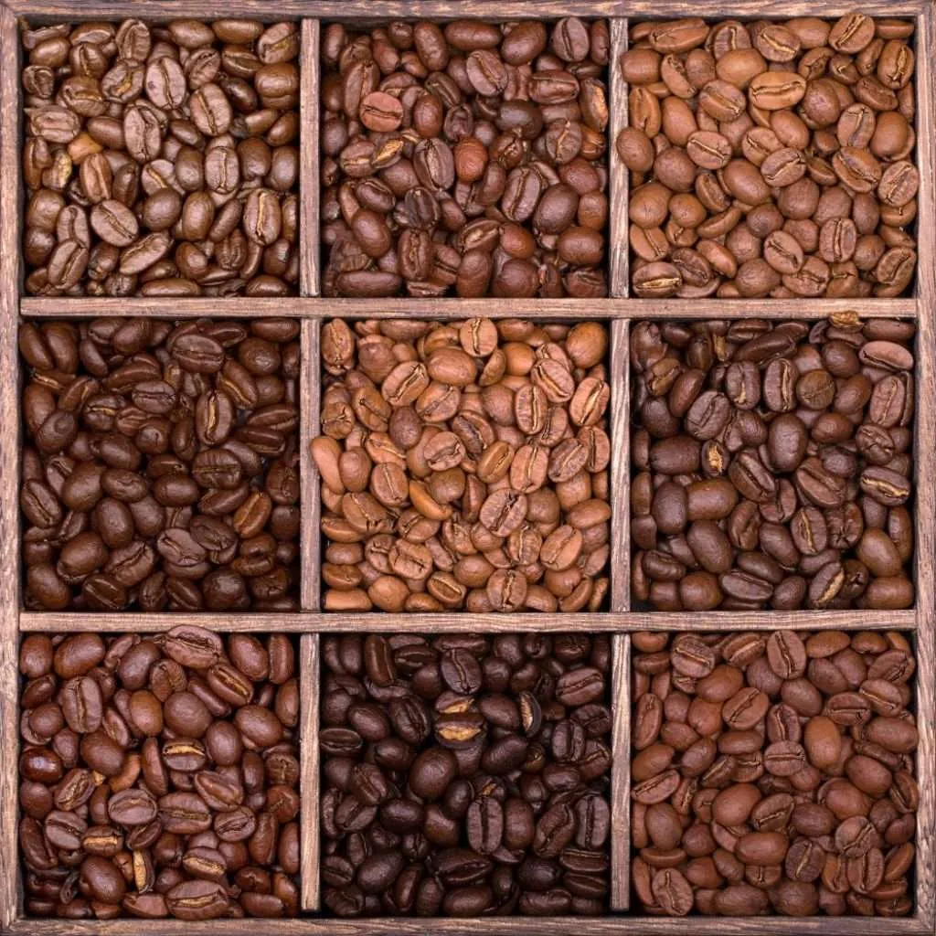 Serving tray with nine equal sections containing different coffee beans