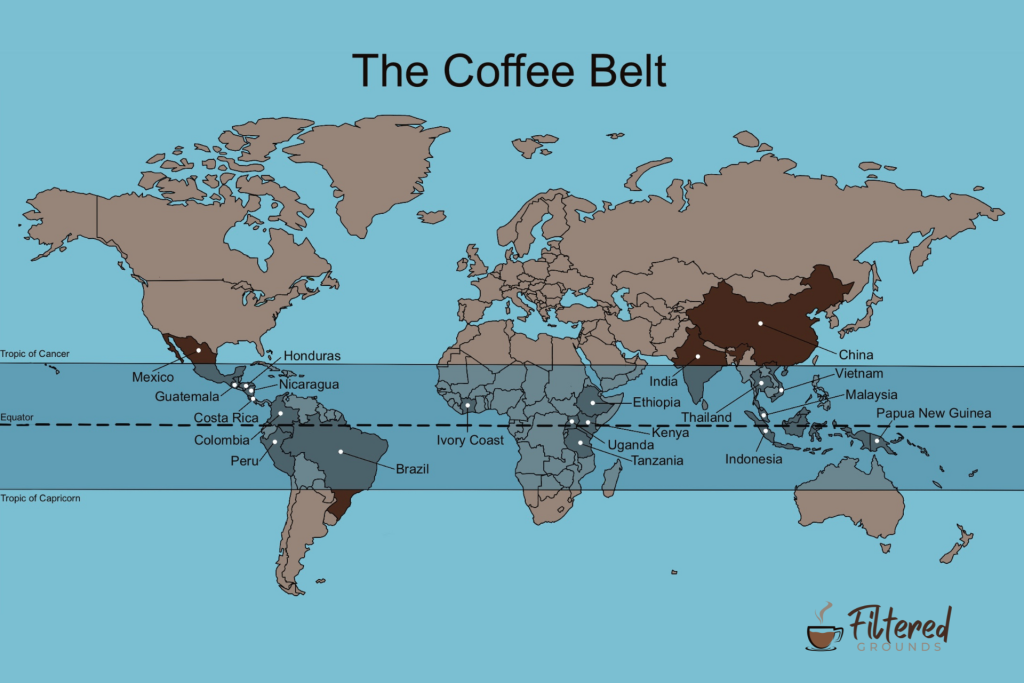 World map showing the top 20 coffee producing countries residing within the Coffee Belt