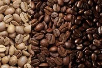 Light, medium, and dark roast coffee beans
