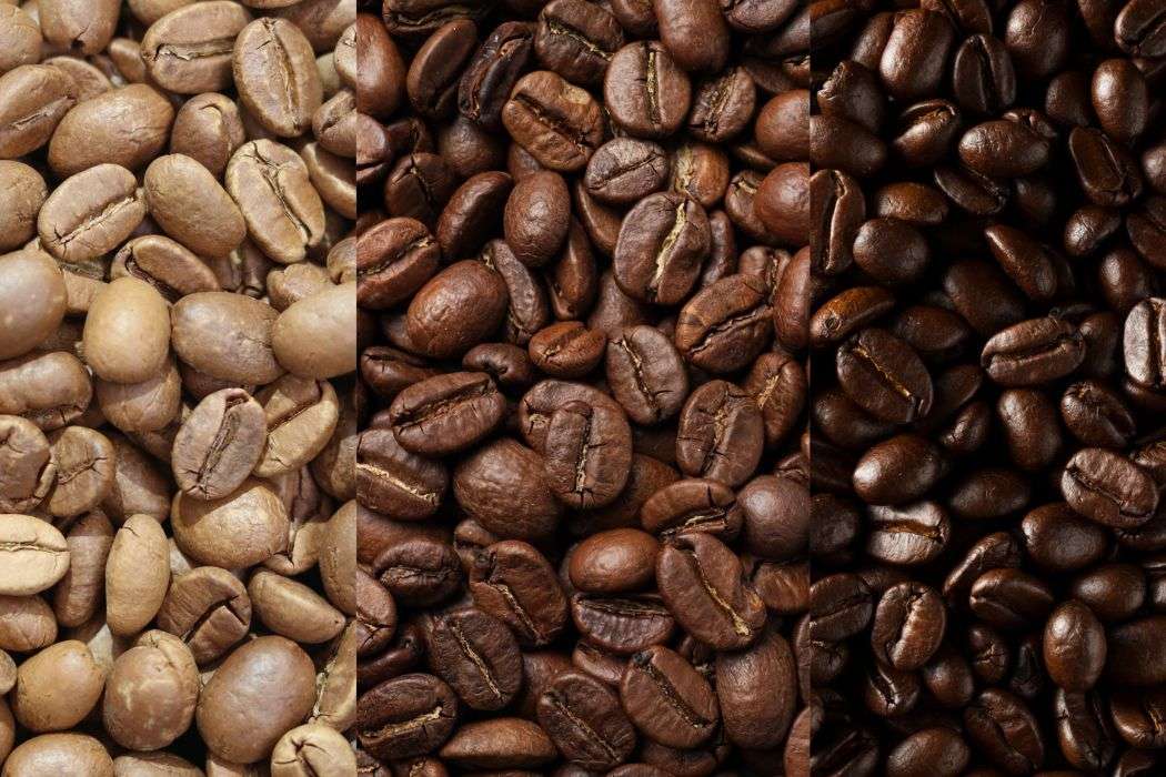 Light, medium, and dark roast coffee beans