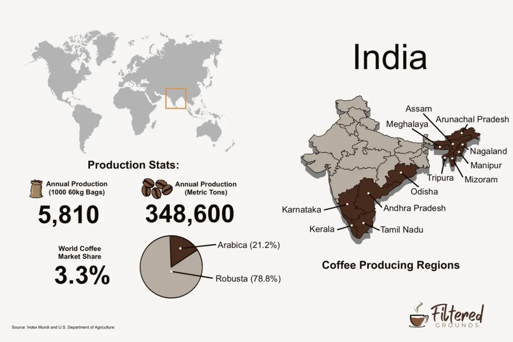 India coffee production infographic