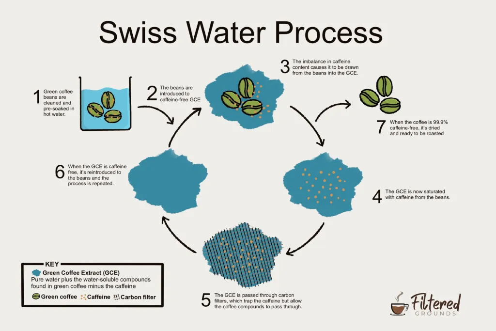 Swiss Water decaffeination process infographic