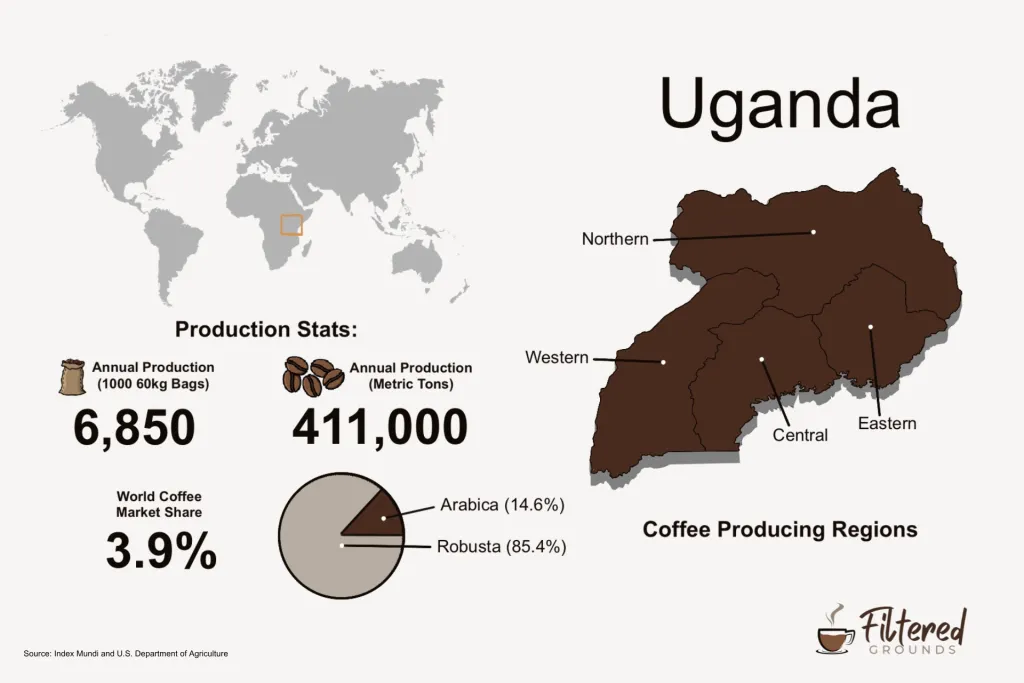 Uganda coffee production infographic