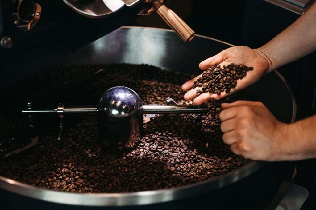 Man holding freshly roasted coffee beans over a coffee roaster cooling tray